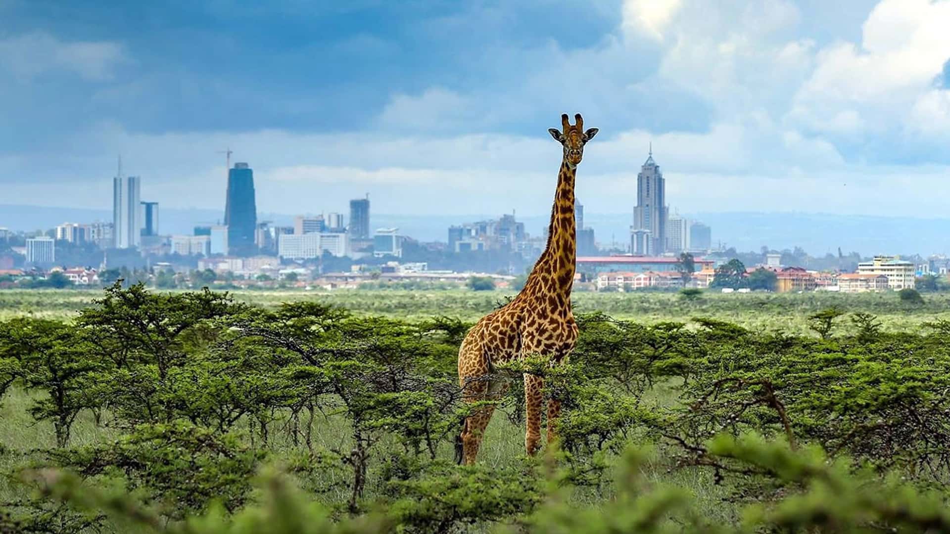 Kenya
