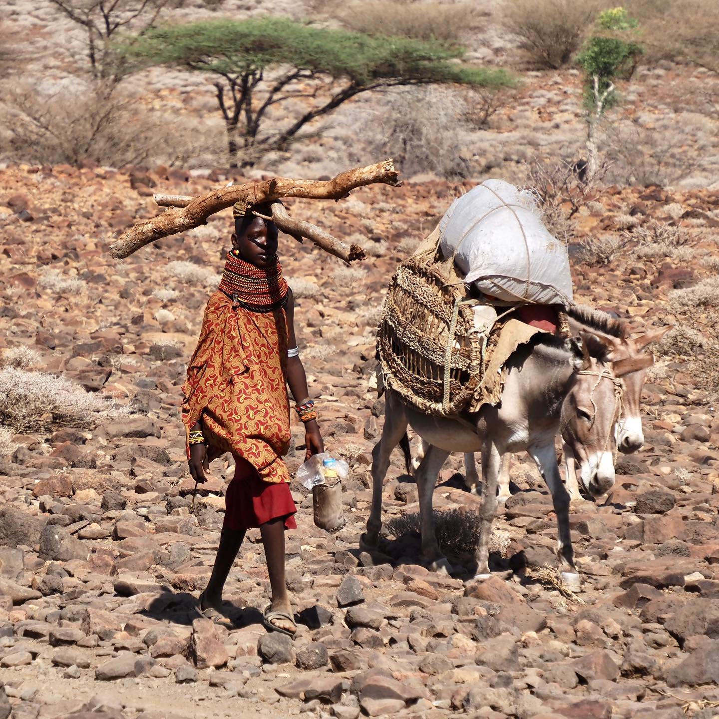 Suguta Valley, Turkana 4