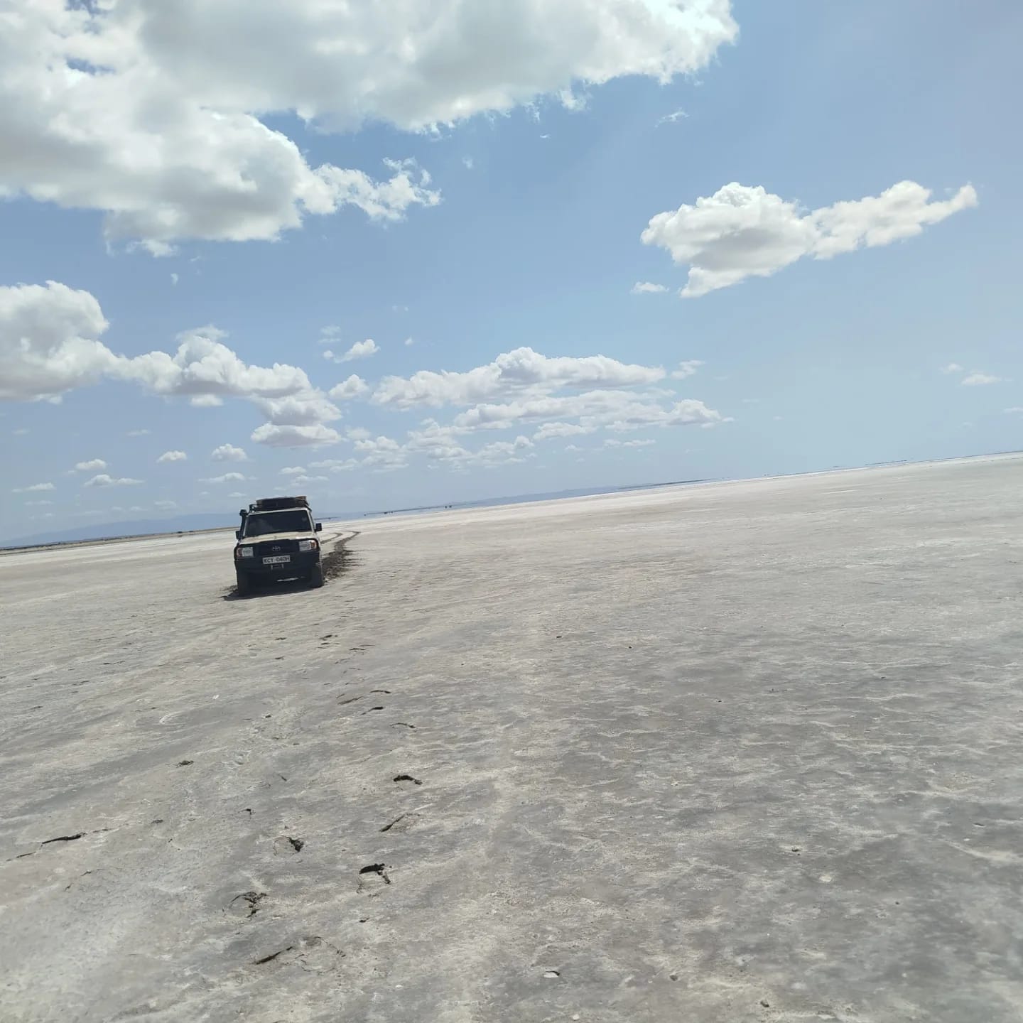 Chalbi Desert  10