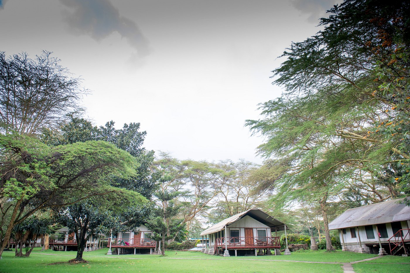 Naivasha 5