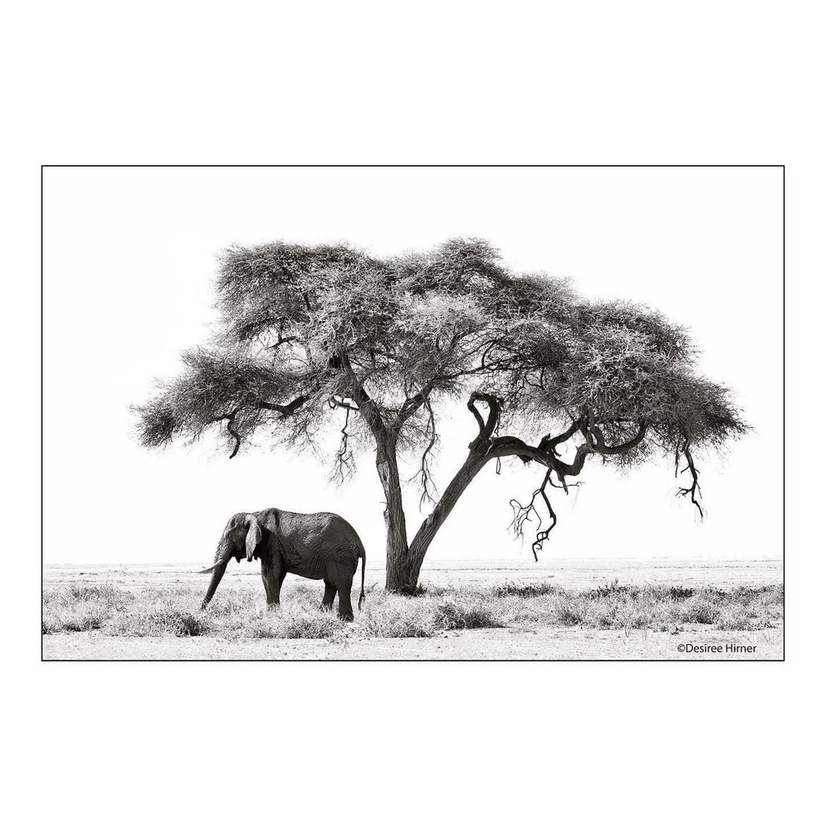 Kajiado 8