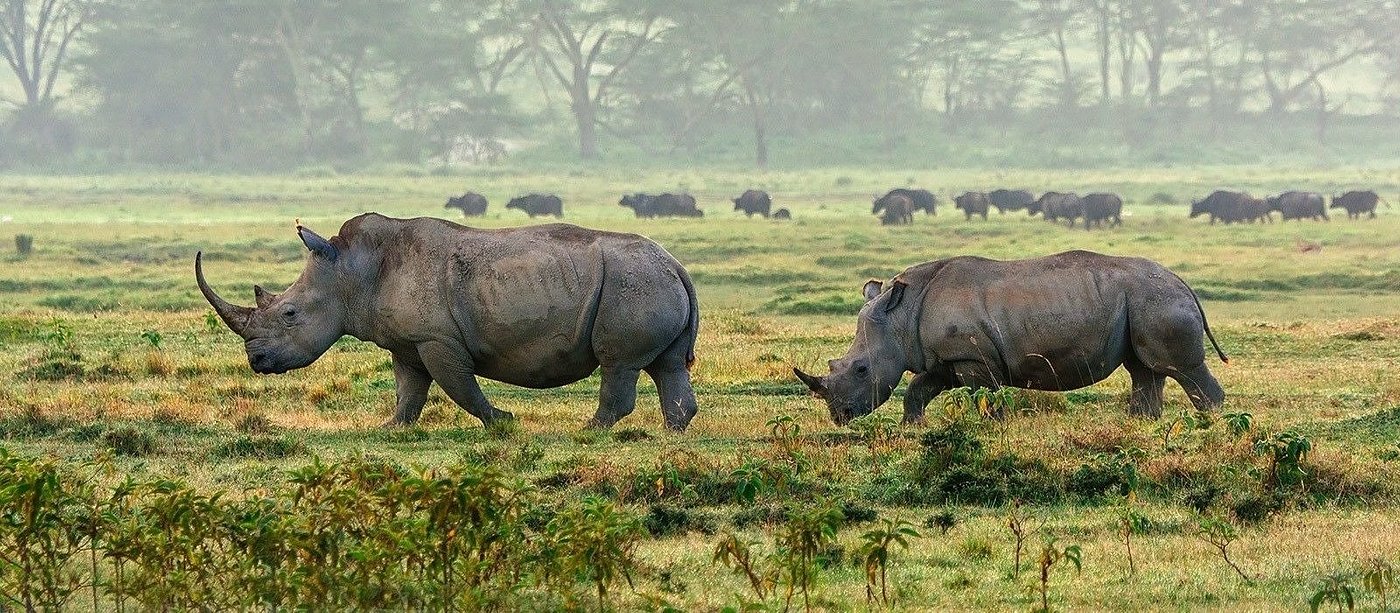Naivasha 7