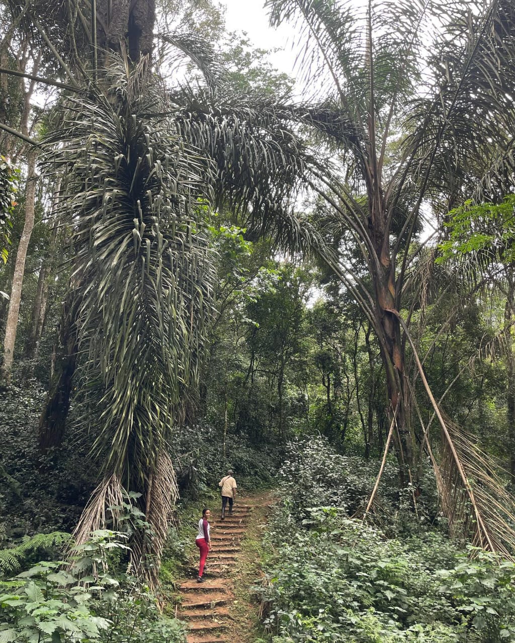 Kakamega 2