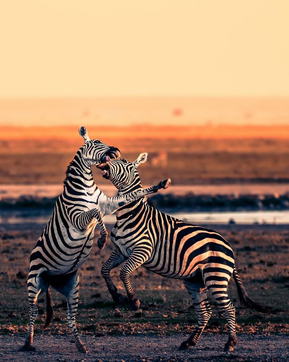 Kajiado 4