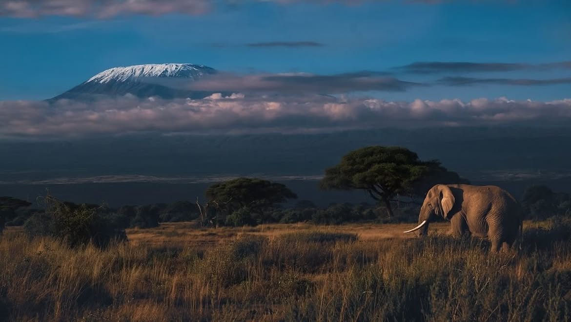 Kajiado 5