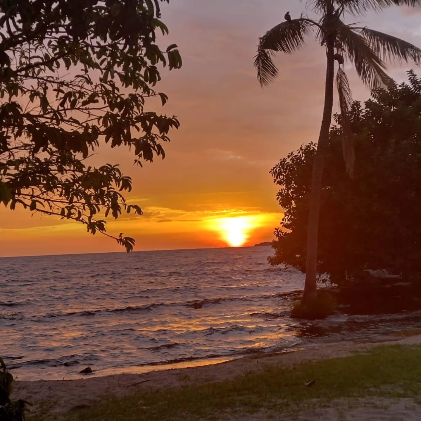 Takawiri Island, Lake Victoria 11