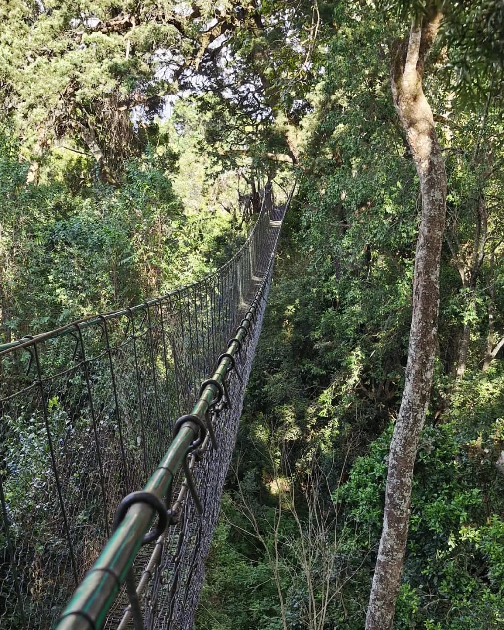 Laikipia 3