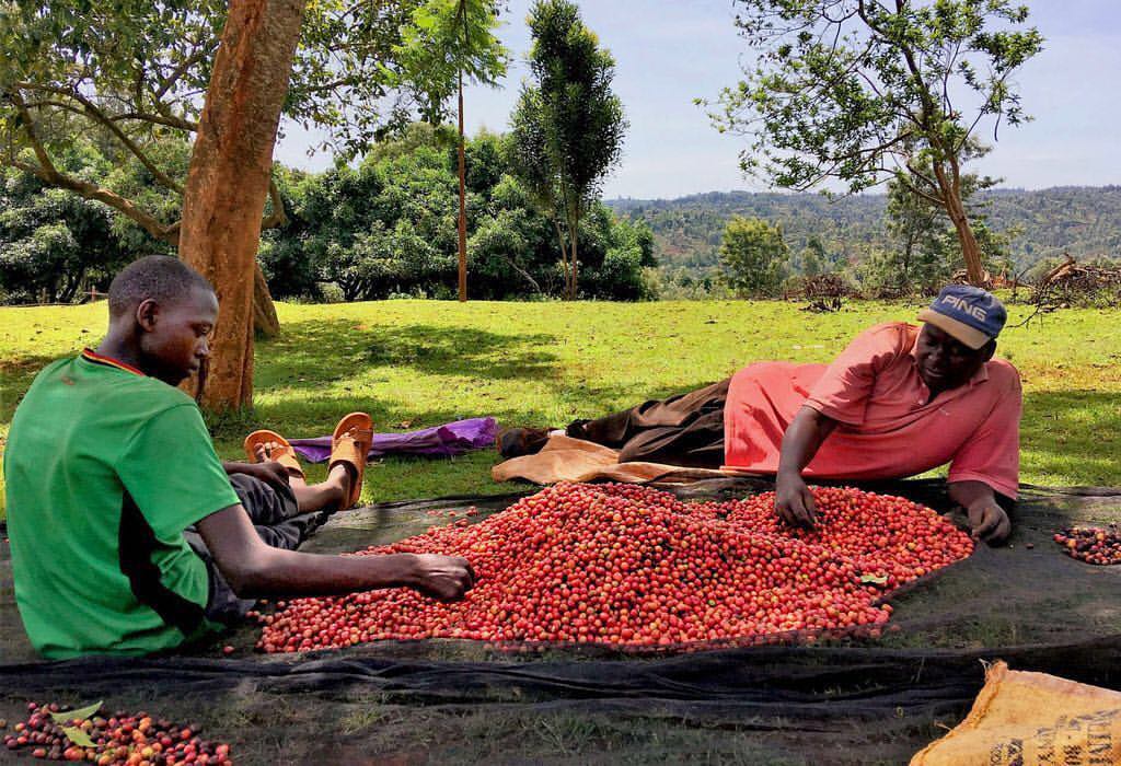 Nyeri 4