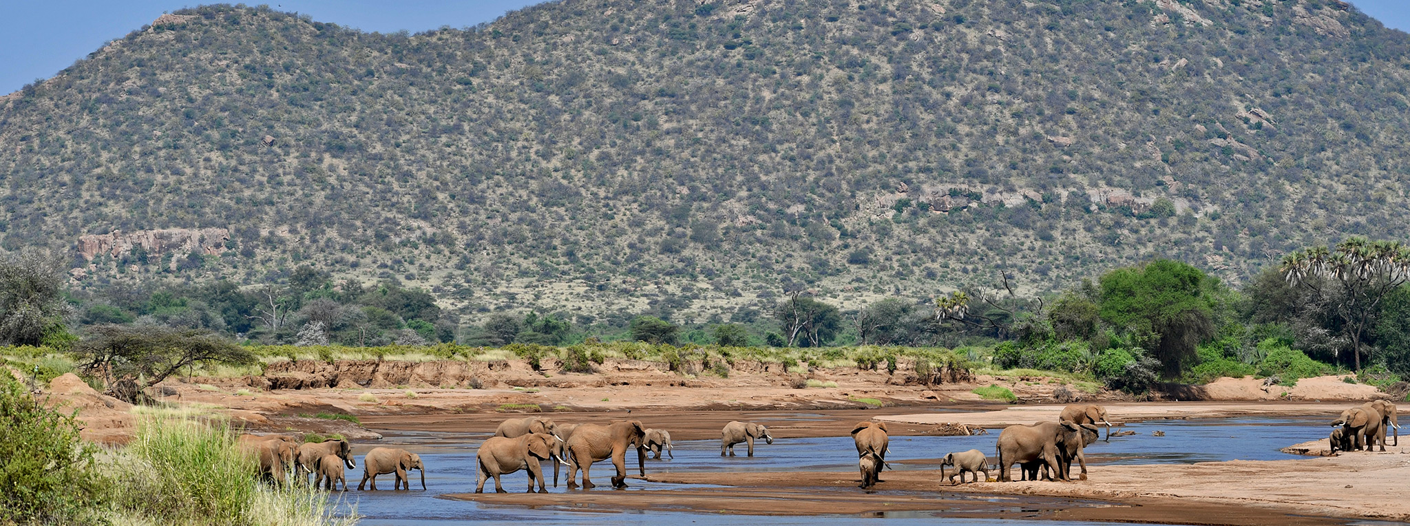 Samburu