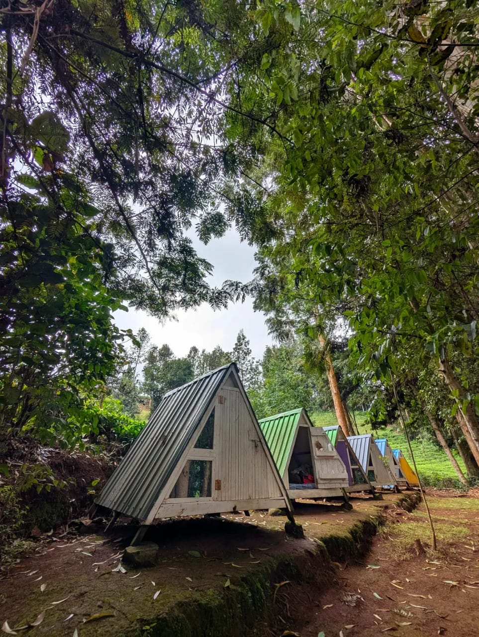 Kirinyaga 8