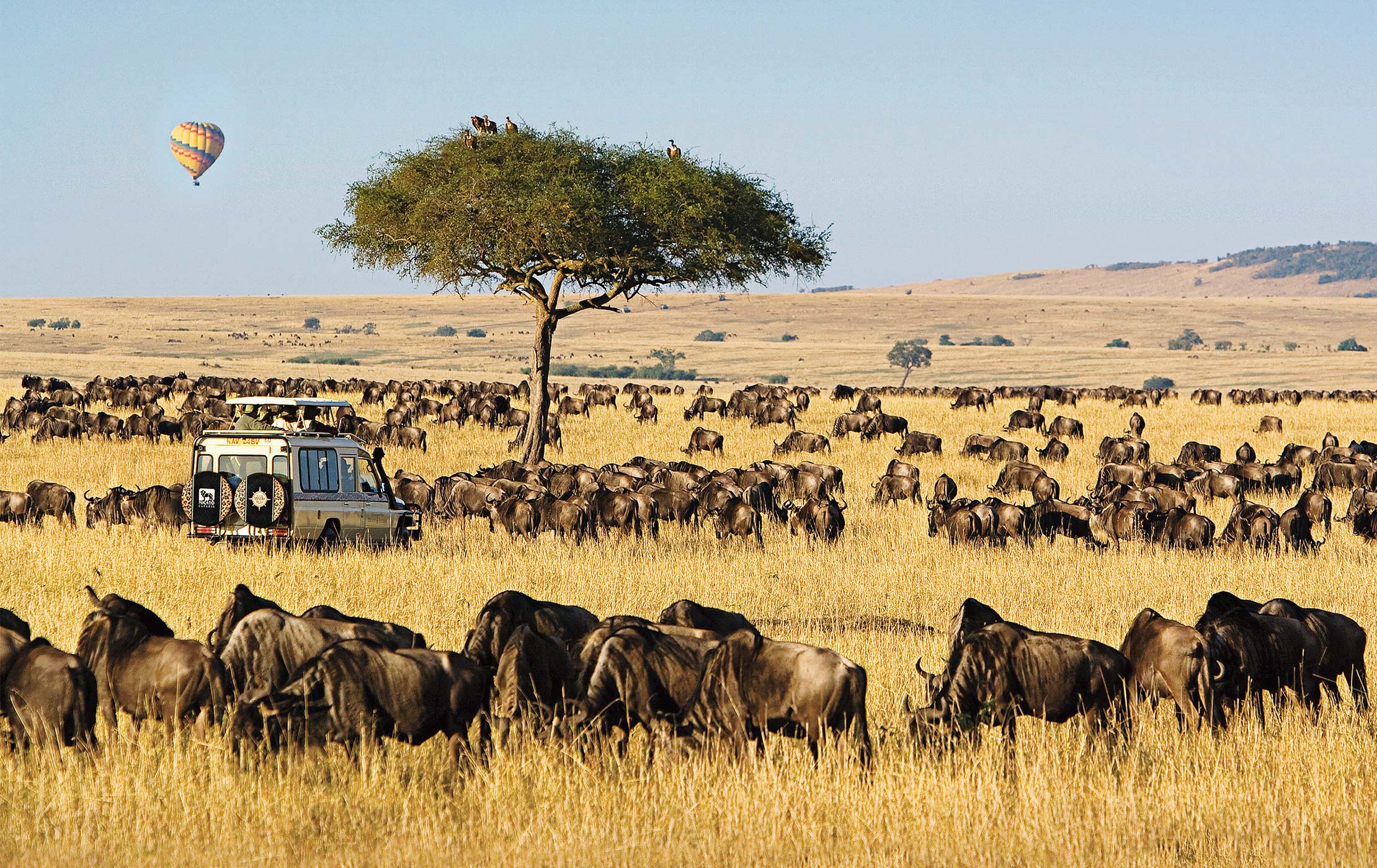 Narok 5
