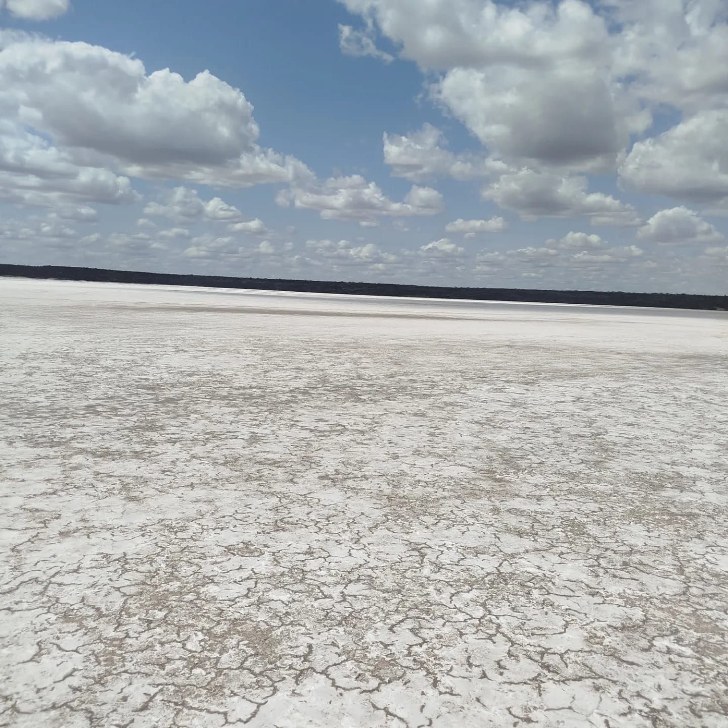 Chalbi Desert  3
