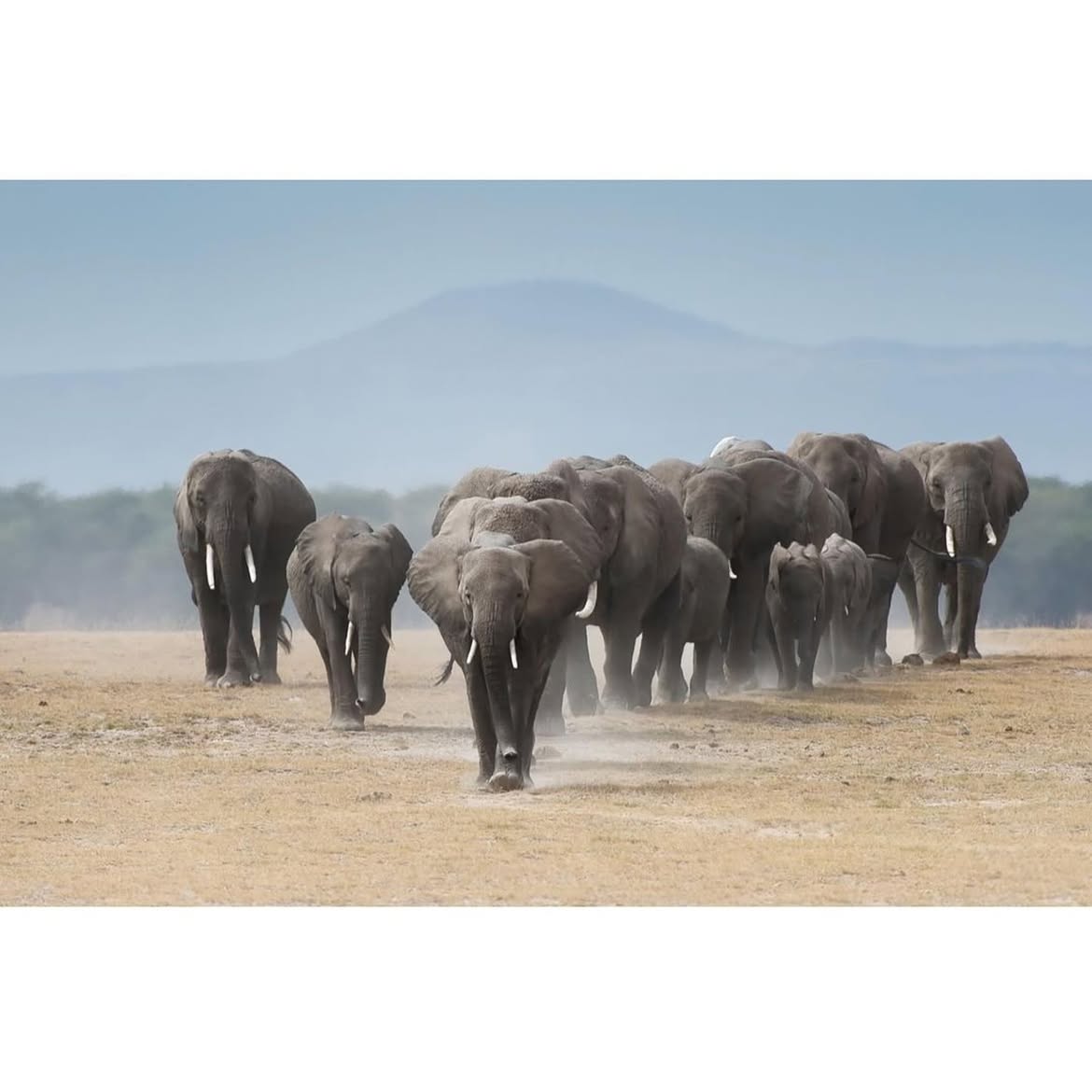 Kajiado 6
