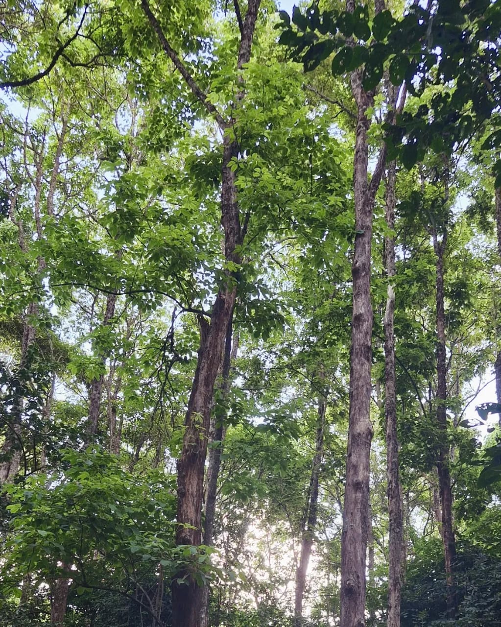 Laikipia 4