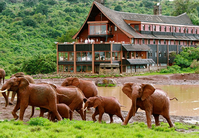 Nyeri 3