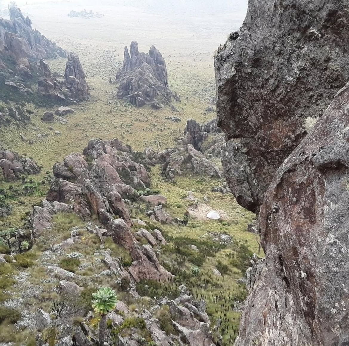 Nyeri 5