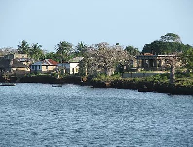 wasini 2