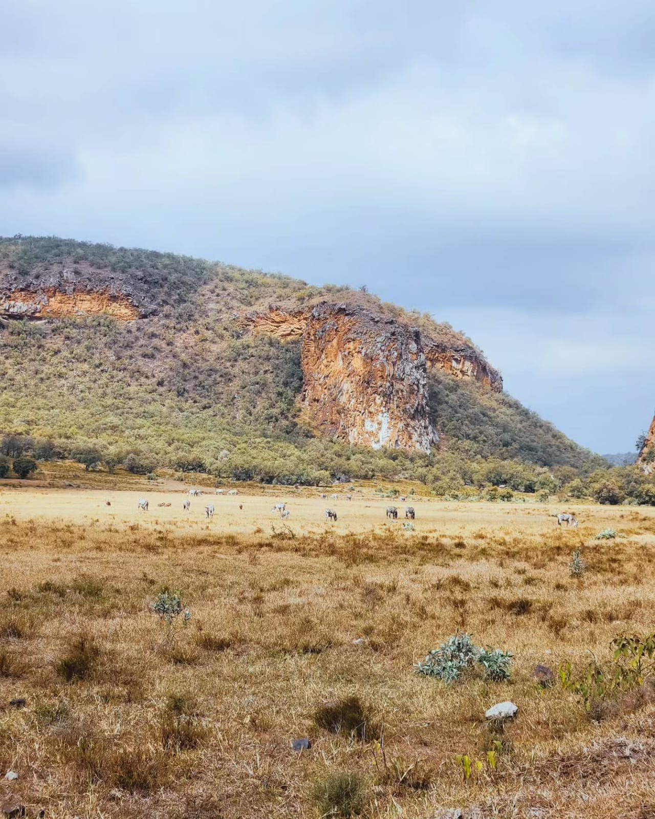 Olkaria Geothermal Spa & Hell’s Gate National Park 8