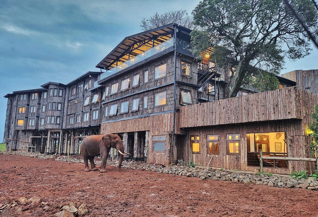 Nyeri 10