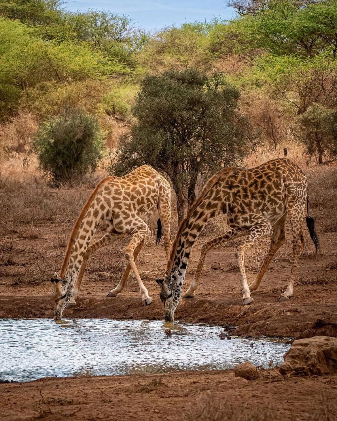 Kajiado 3