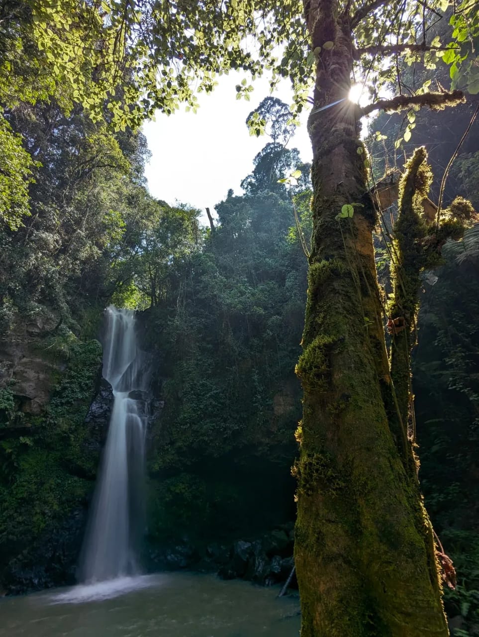Nyeri 8