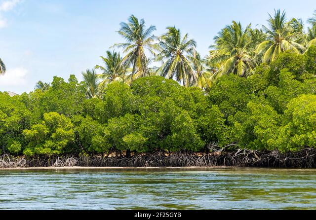 Watamu: The Ocean Breathes and Ancient Stones Speak