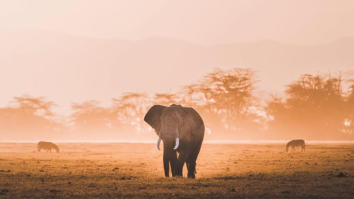 Kajiado 9