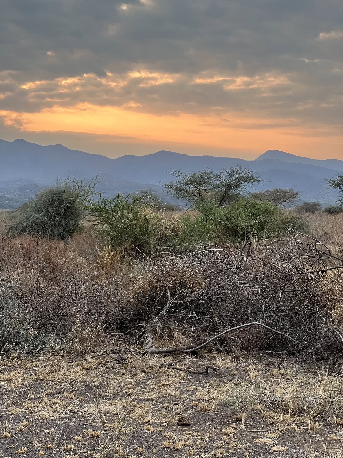 Narok 8