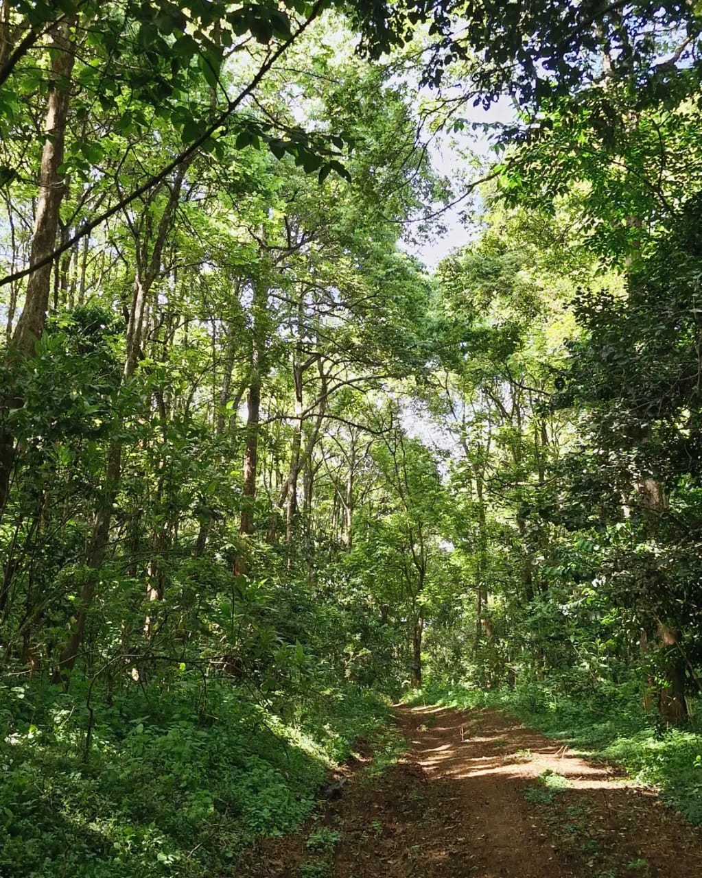 Laikipia 2