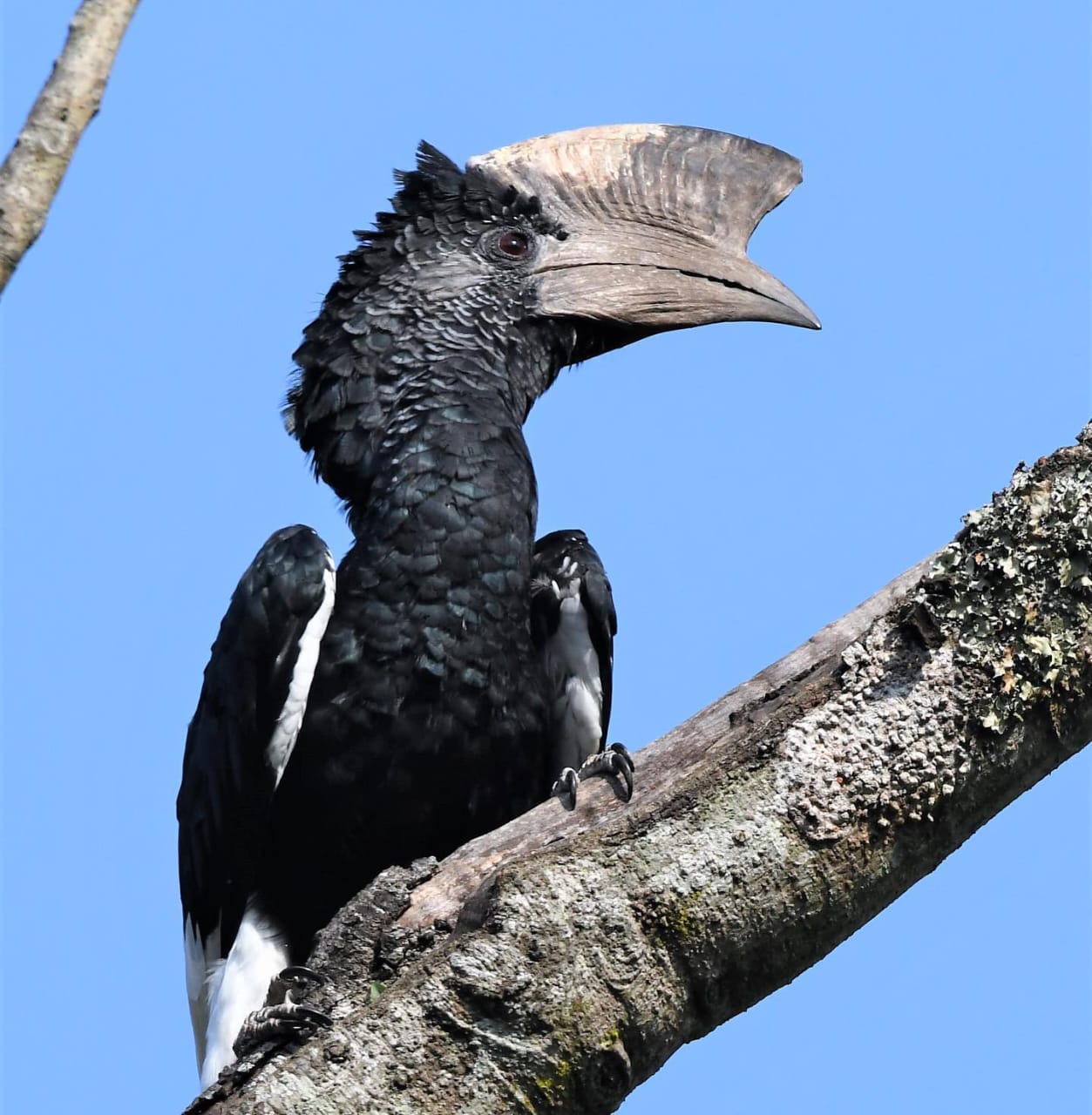 Kakamega 6