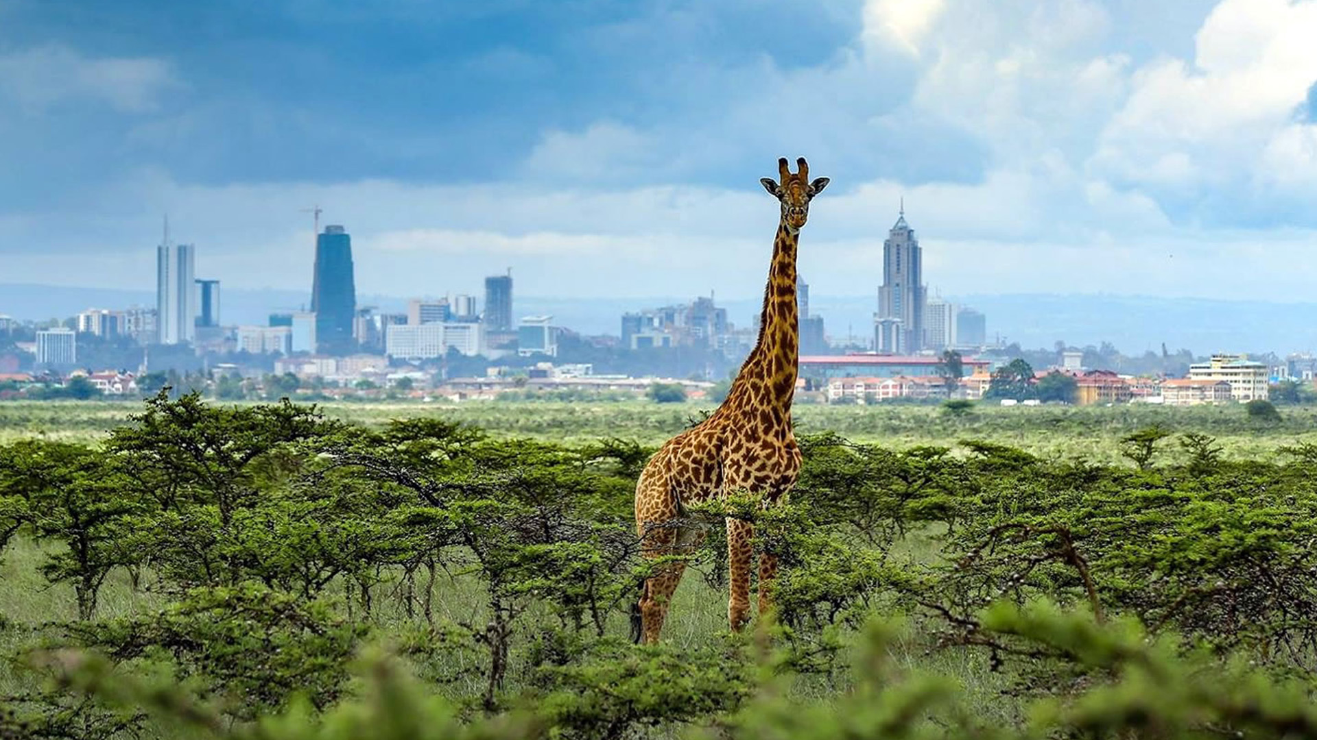 Kenya 3