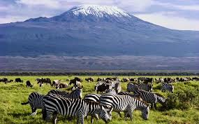 Kenya 6