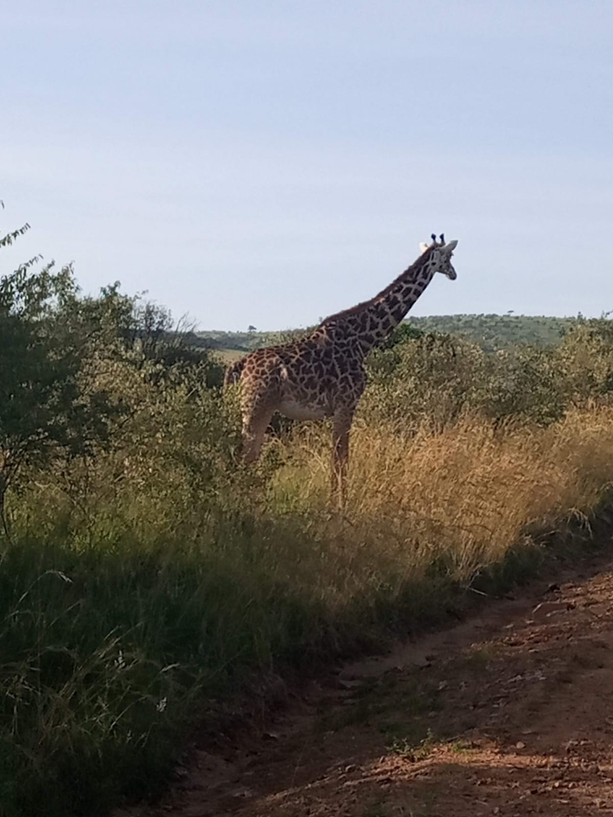 3 Days 2 Nights Masai Mara - Image 12