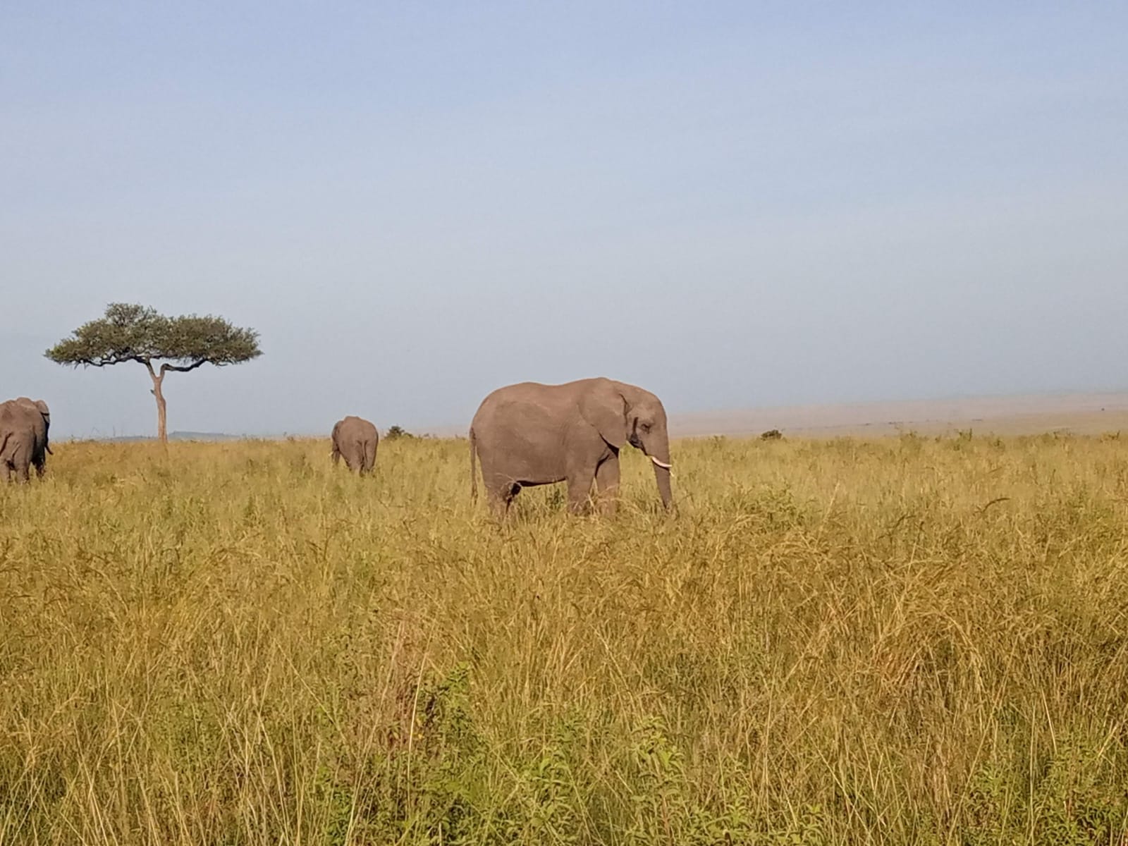 3 Days 2 Nights Masai Mara - Image 11