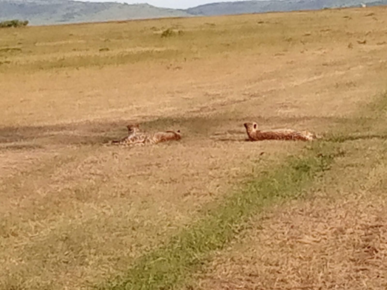3 Days 2 Nights Masai Mara - Image 7
