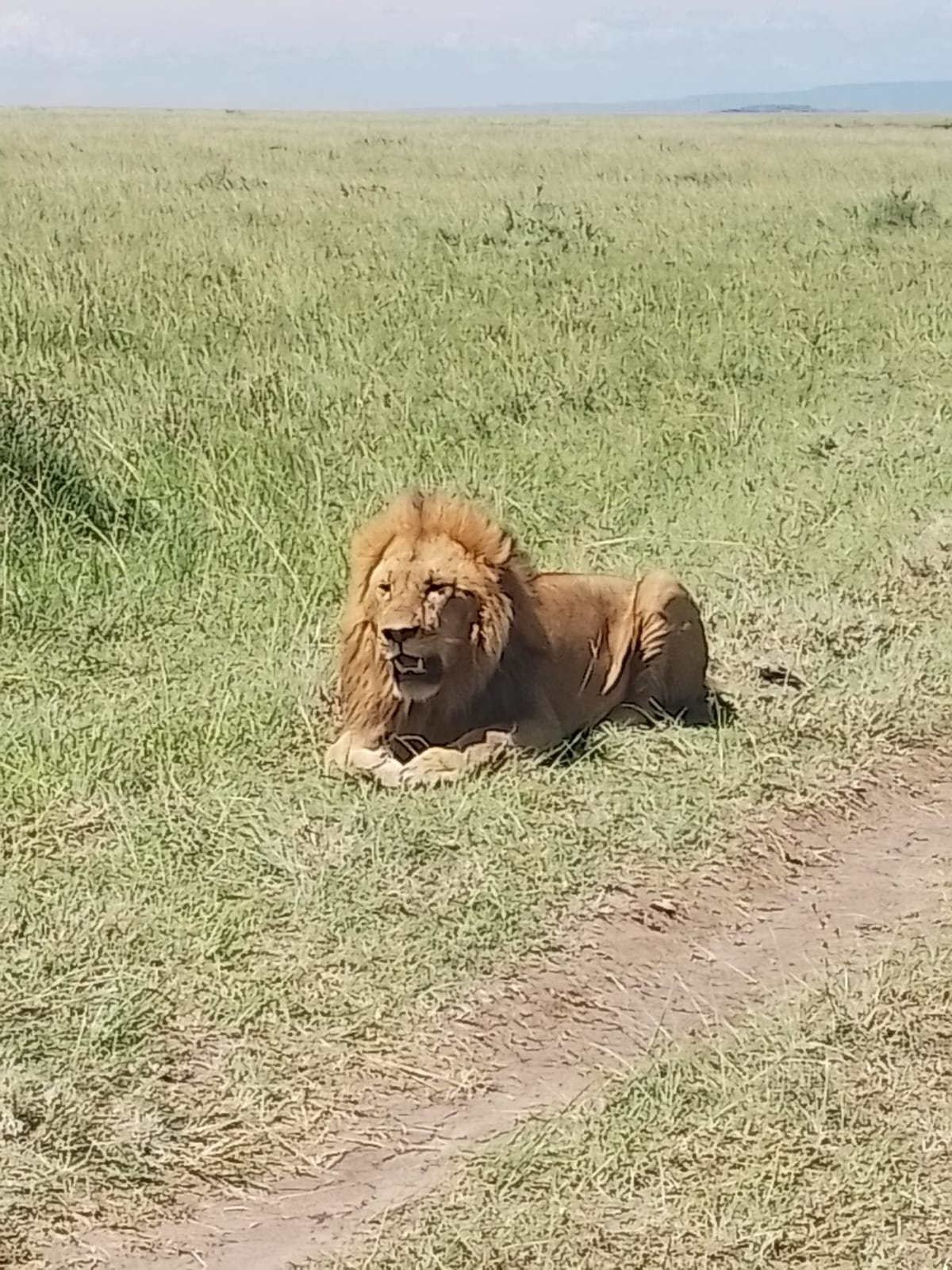 3 Days 2 Nights Masai Mara - Image 5