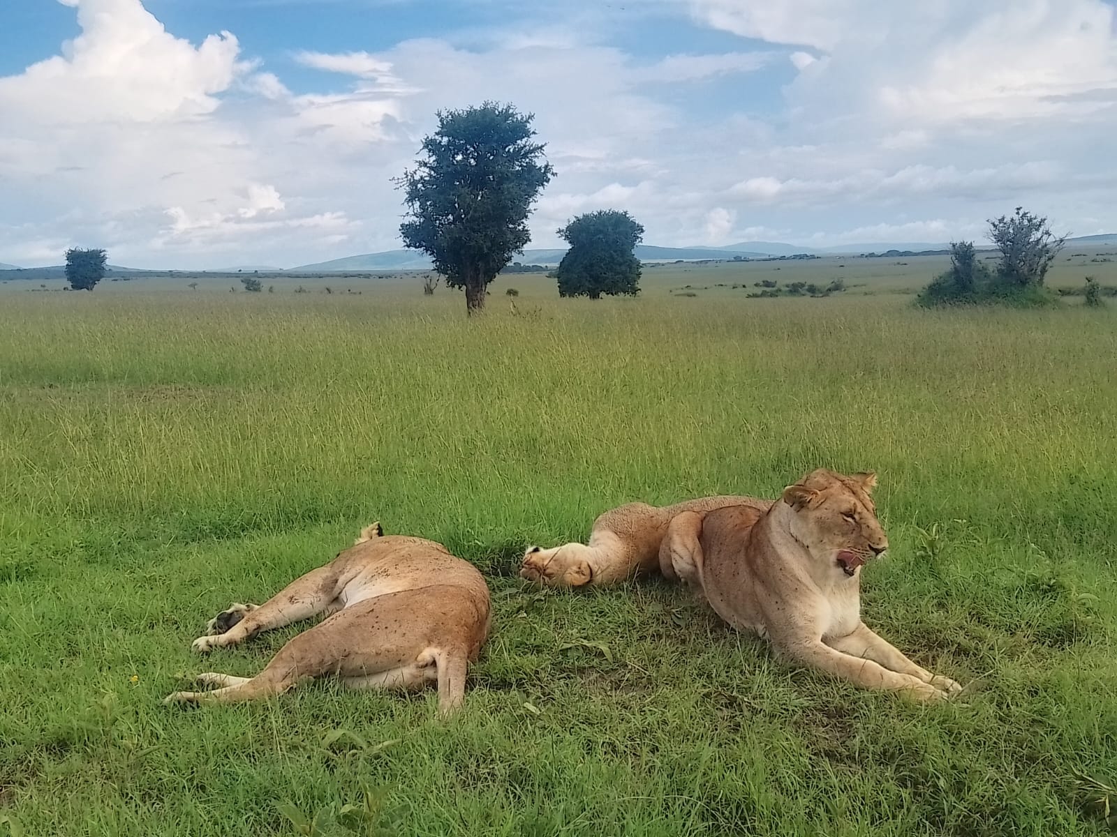 3 Days 2 Nights Masai Mara - Image 3
