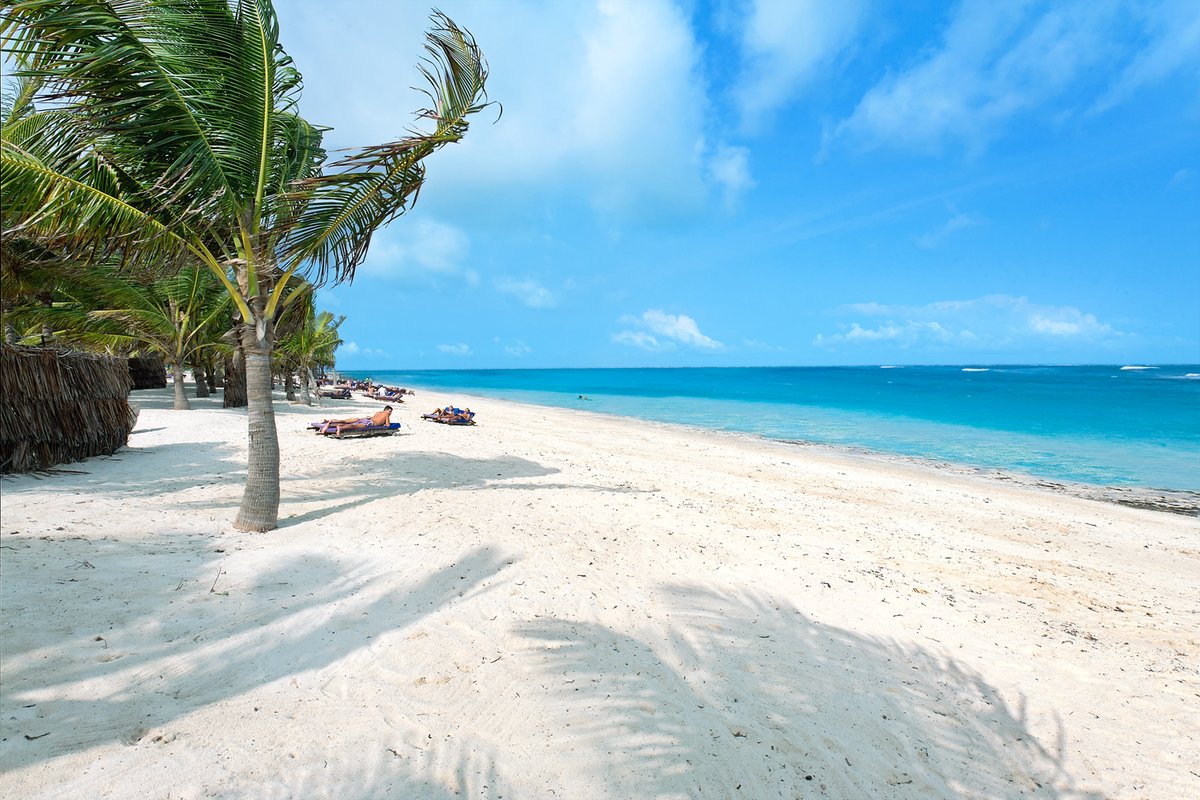 Diani Donjo Maber - Image 2